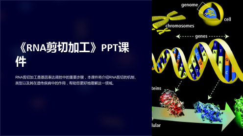 《RNA剪切加工》课件