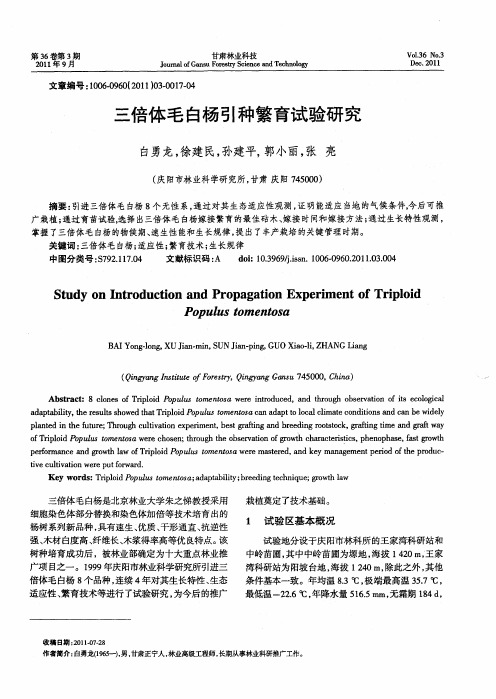 三倍体毛白杨引种繁育试验研究