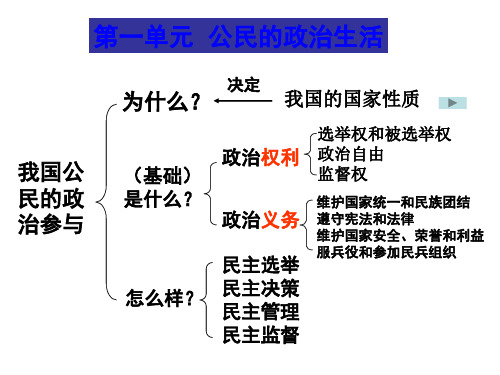 政治框架结构