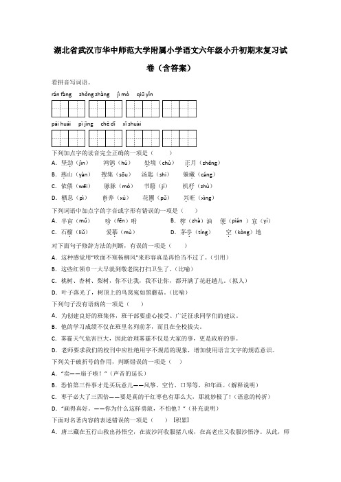 湖北省武汉市华中师范大学附属小学语文六年级小升初期末复习试卷(含答案)