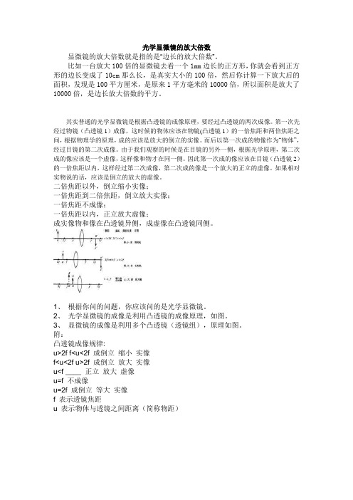 光学显微镜的放大倍数