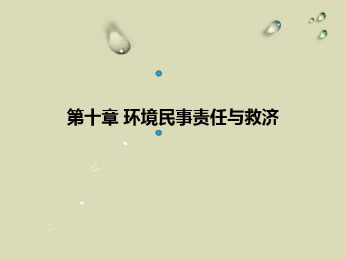 第十章 环境民事责任与救济
