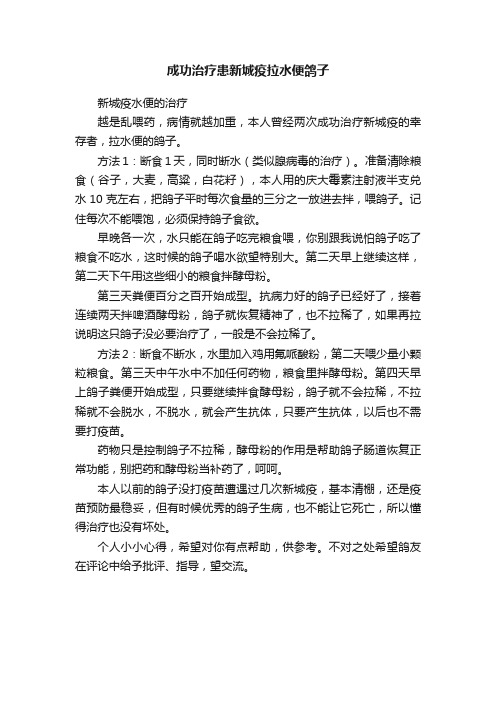 成功治疗患新城疫拉水便鸽子