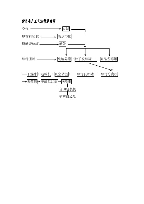 酵母生产工艺流程示意图