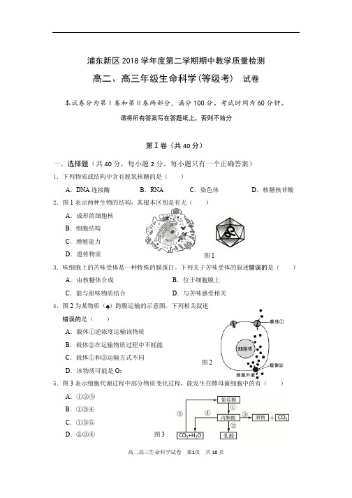 10-2019年浦东新区生命科学二模试卷 生命科学试卷 上海市