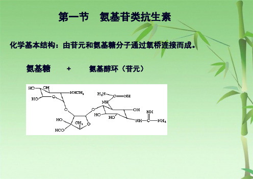 氨基糖苷类抗生素廖(共39张PPT)