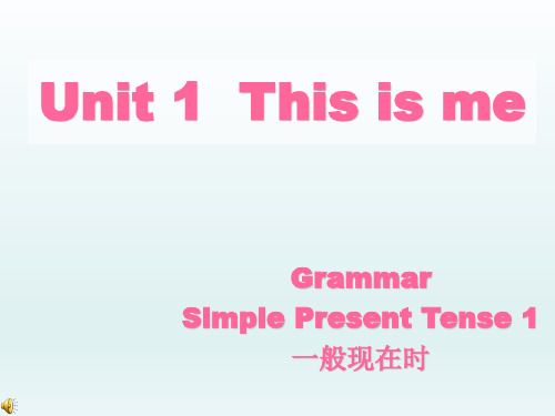 江苏省南京市高淳区第一中学牛津译林版七年级英语上册 U1  this is me—— Grammar