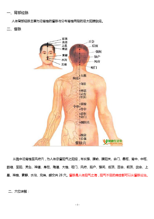 人体背部经脉穴位