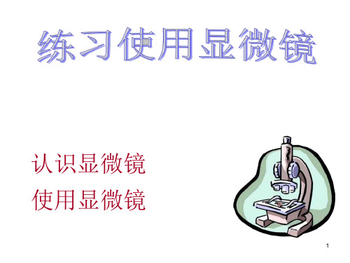 显微镜使用方法课件