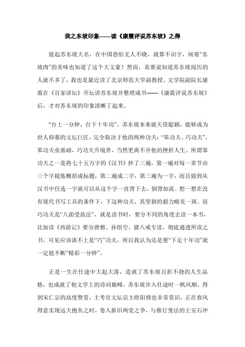 我之东坡印象——读《康震评说苏东坡》之得