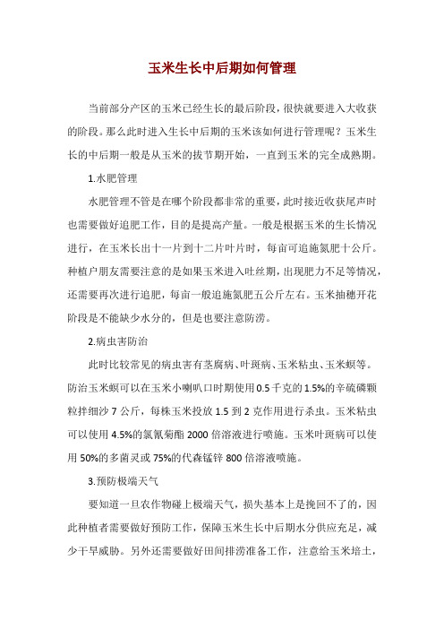 玉米生长中后期如何管理