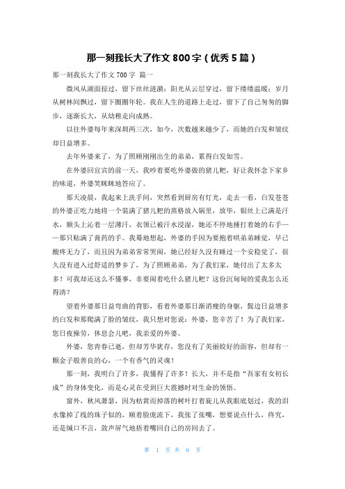 那一刻我长大了作文800字(优秀5篇)