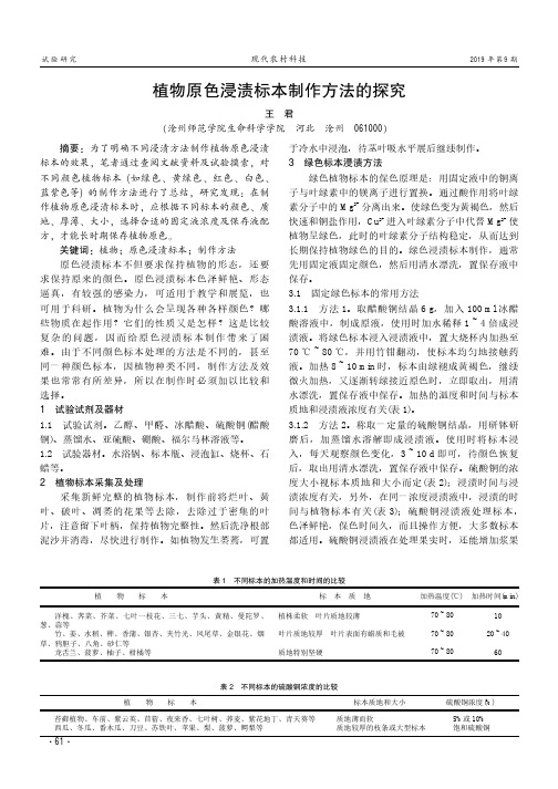 植物原色浸渍标本制作方法的探究