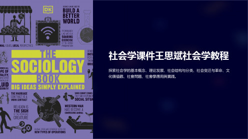 社会学课件王思斌社会学教程