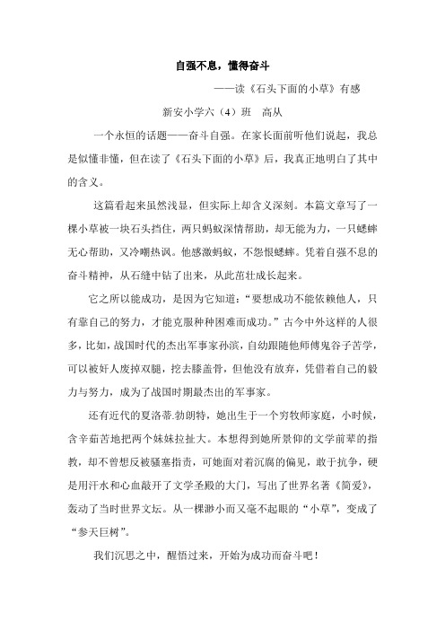 自强不息,懂得奋斗-----读《石头下面的小草》有感