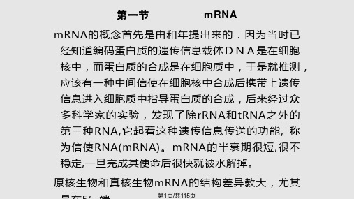 蛋白质的合成PPT课件