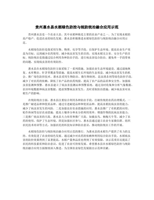 贵州惠水县水稻绿色防控与统防统治融合应用示范