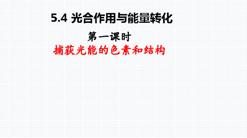 【课件】光合作用与能量转化(第一课时)课件2022-2023学年高一上学期生物人教版必修1