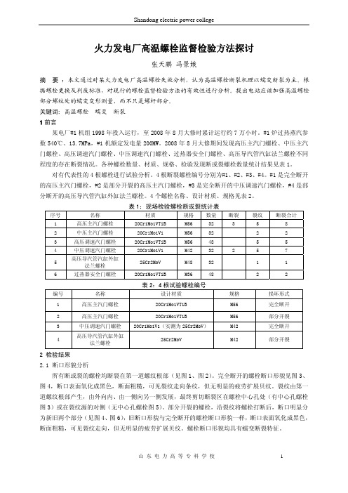 火力发电厂高温螺栓监督检验方法探讨