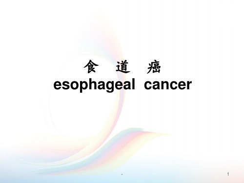 食道癌讲PPT课件