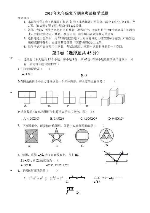 2015年九年级复习调查考试数学试题.docx