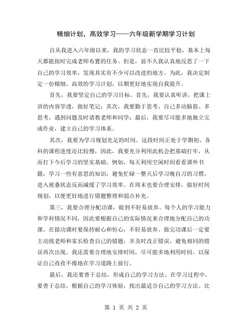 精细计划,高效学习——六年级新学期学习计划