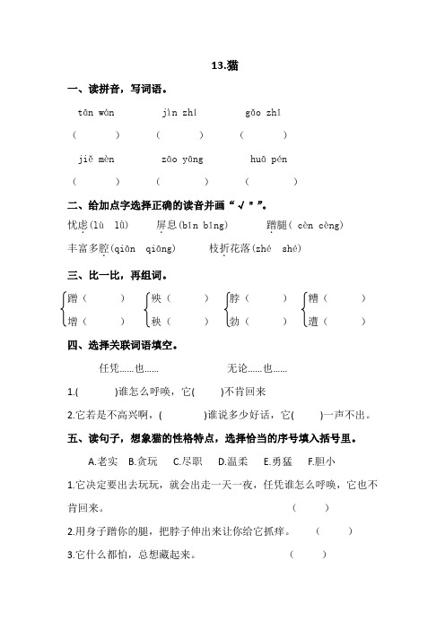 部编版四年级下册语文13.猫同步练习(含答案)