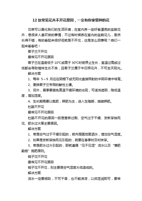 12款常见花卉不开花原因，一定有你家里种的花