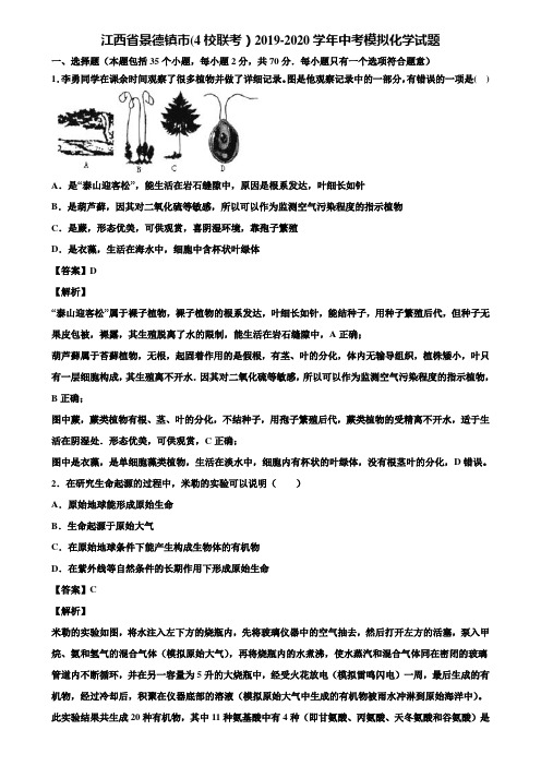 江西省景德镇市(4校联考)2019-2020学年中考模拟化学试题含解析