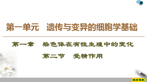 2019-2020学年中图版生物必修2 第1单元 第1章 第2节 受精作用