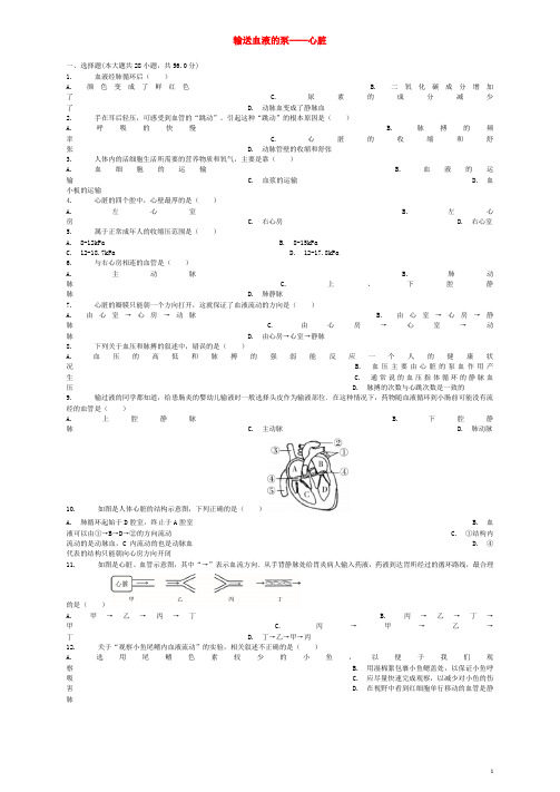 七年级生物下册4.4.3输送血液的泵──心脏同步练习(新版)新人教版