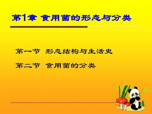 第一章食用菌的形态与分类