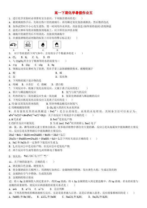 四川省米易中学高一化学下学期 暑假作业5