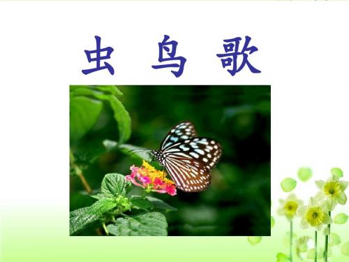 《虫鸟歌》PPT优秀教学课件2