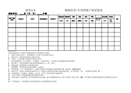 5-3                     精准扶贫-专项贷款户级采集表