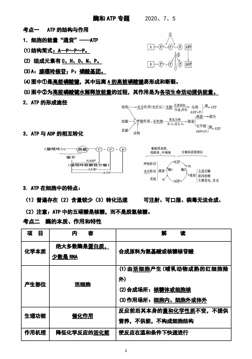 酶和ATP知识点