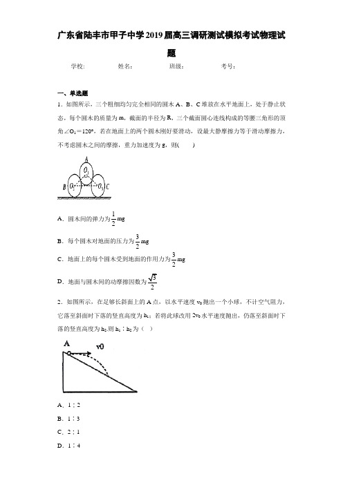 广东省陆丰市甲子中学2021届高三调研测试模拟考试物理试题