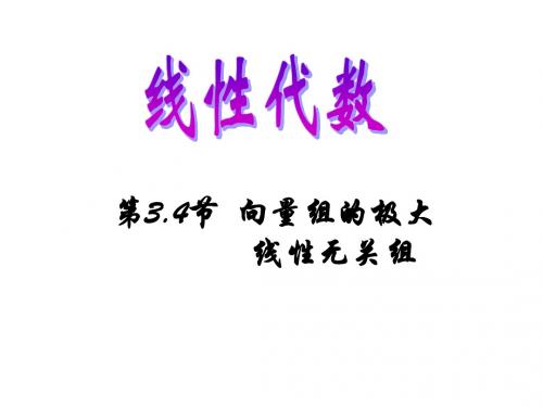 向量组的极大无关组.ppt