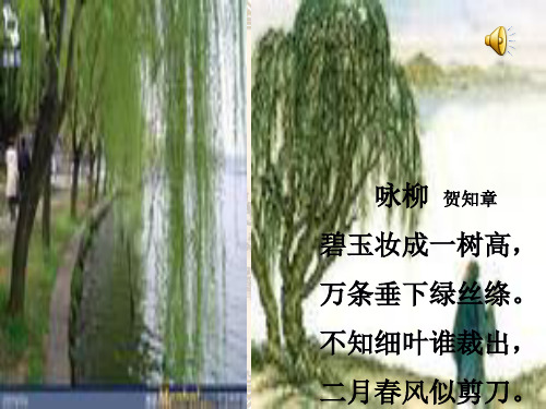 写字课撇的写法课件