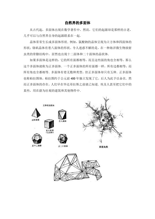 拓展资料：自然界的多面体