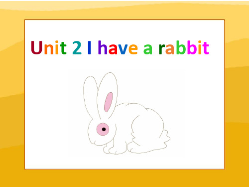 译林牛津版小学英语二年级上册2A Unit 2 I have a rabbit 课件1