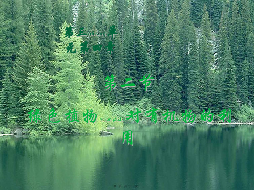 七年级生物 《绿色植物对有机物的利用》课件