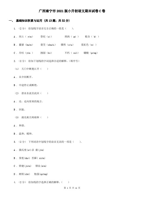 广西南宁市2021版小升初语文期末试卷C卷(新版)
