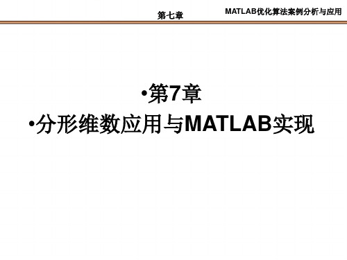 第7章  分形维数应用与MATLAB实现