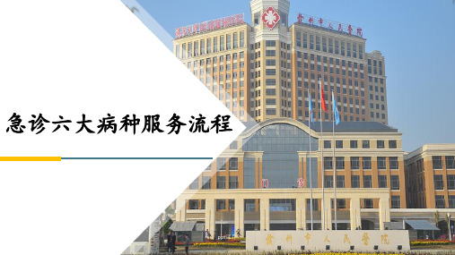 急诊六大病种服务流程 ppt课件