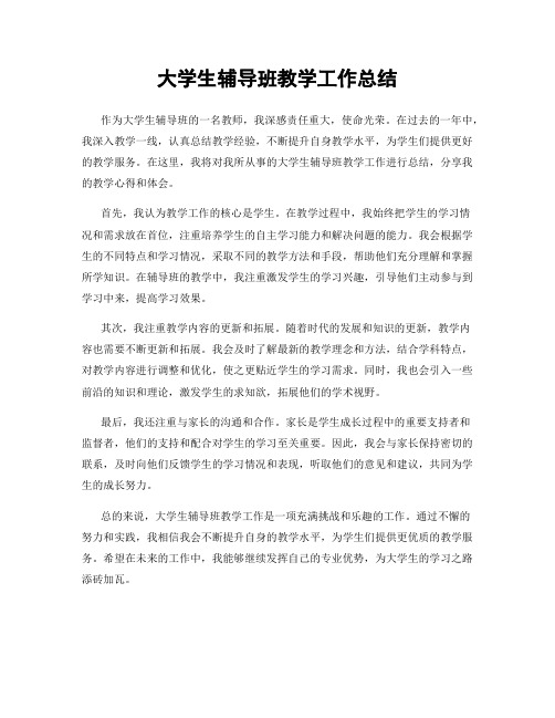 大学生辅导班教学工作总结