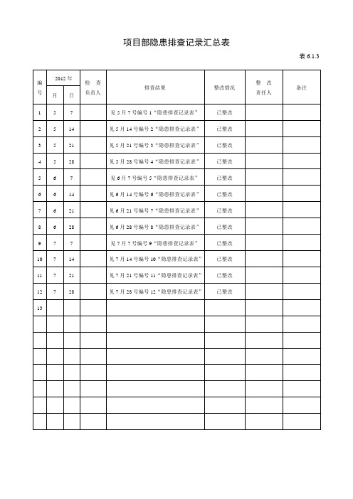 项目部隐患排查记录汇总表