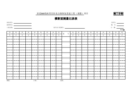 12、横断面测量记录表(测表12)