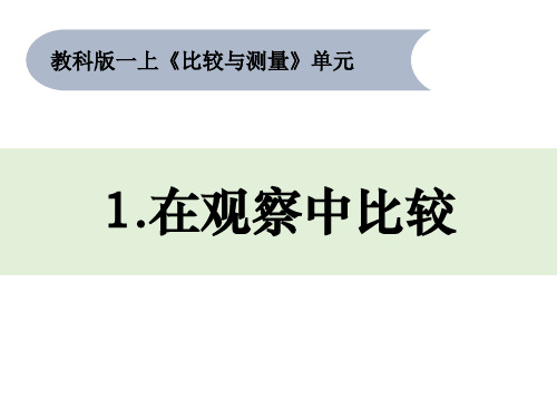 小学科学一年级上册《在观察中比较》课件