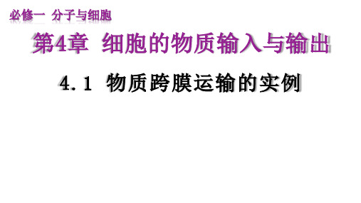 高三一轮课件2.3 细胞的物质输入和输出(共60张PPT)